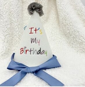 NWT Birthday party Kids unisex Party Hat with Blue Ribbon